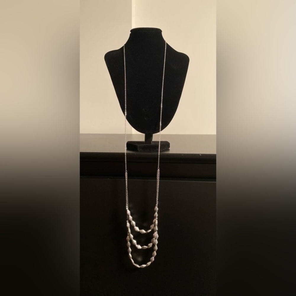 American Eagle Outfitters Silver Necklace